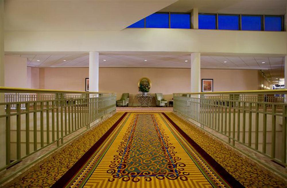 מלון Philadelphia Airport Marriott מראה חיצוני תמונה